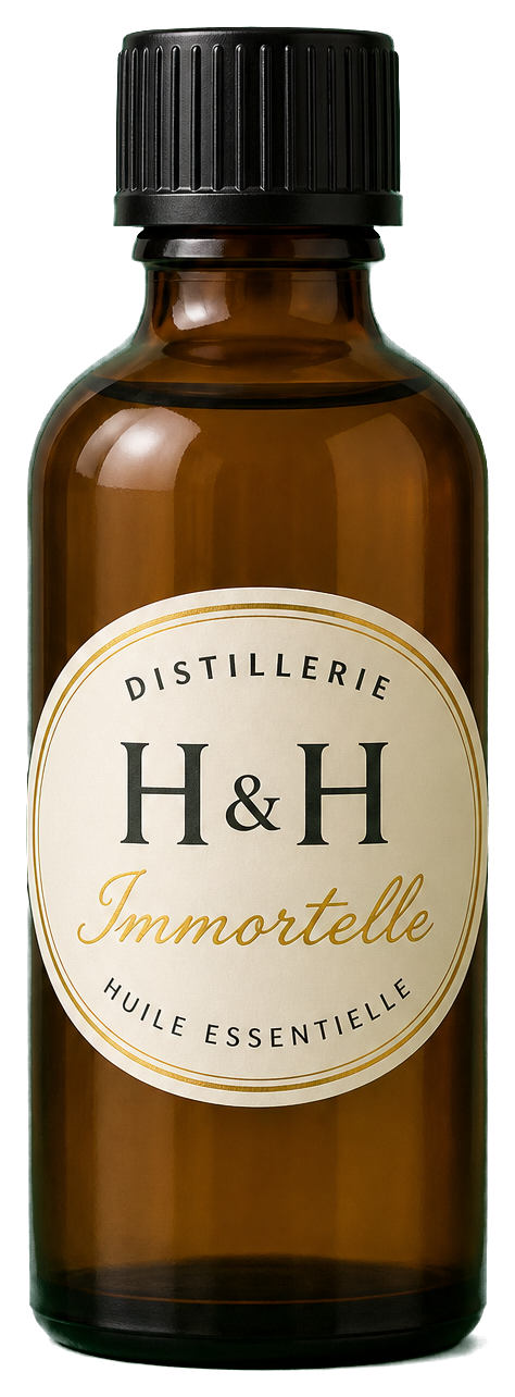 Huile essentielle d'Immortelle — Distillerie H&H