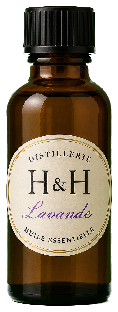 Huile essentielle de Lavande — Distillerie H&H
