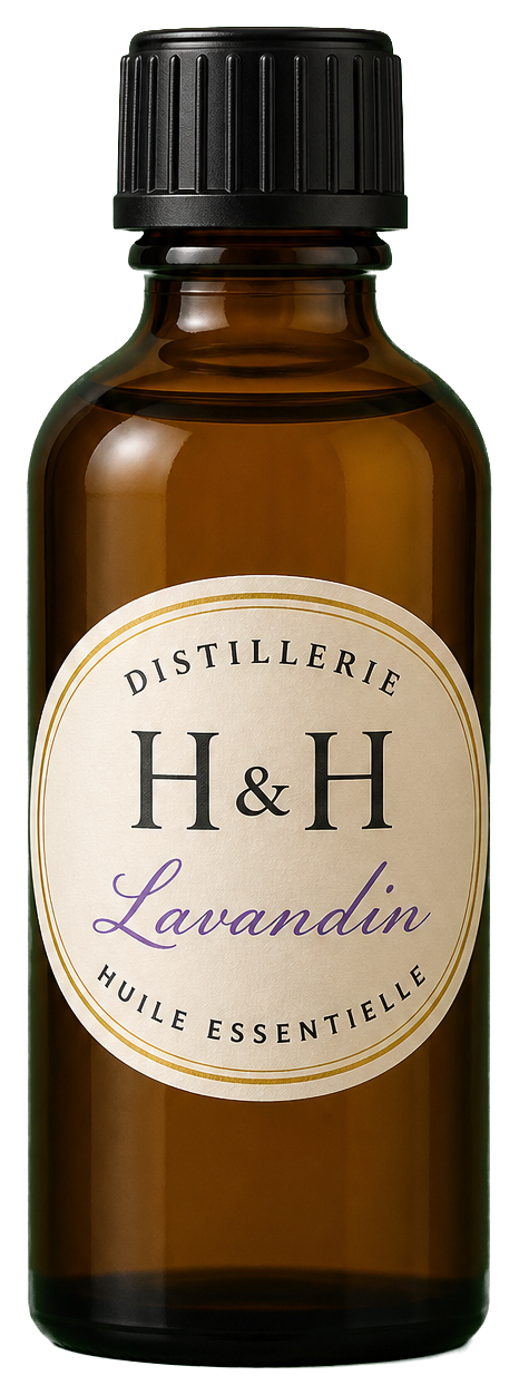 Huile essentielle de Lavandin — Distillerie H&H